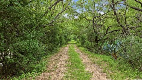 3833 County Road 2880 Bigfoot TX 78005