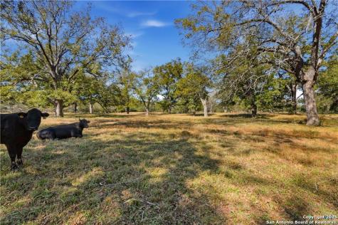 15145 Alternate 90 Kingsbury TX 78638
