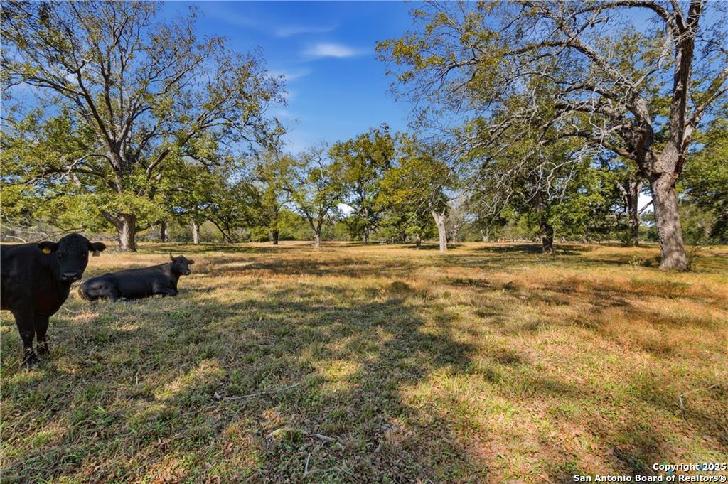 15145 Alternate 90 Kingsbury TX 78638