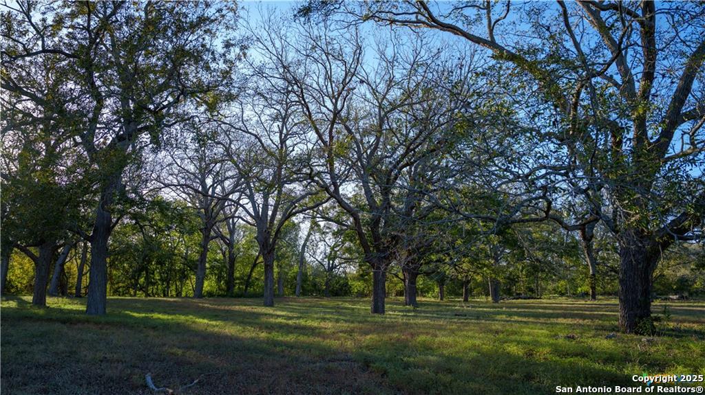 15145 Alternate 90 Kingsbury TX 78638