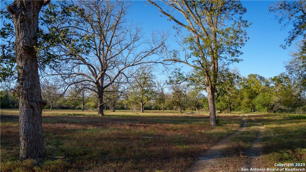 15145 Alternate 90 Kingsbury TX 78638