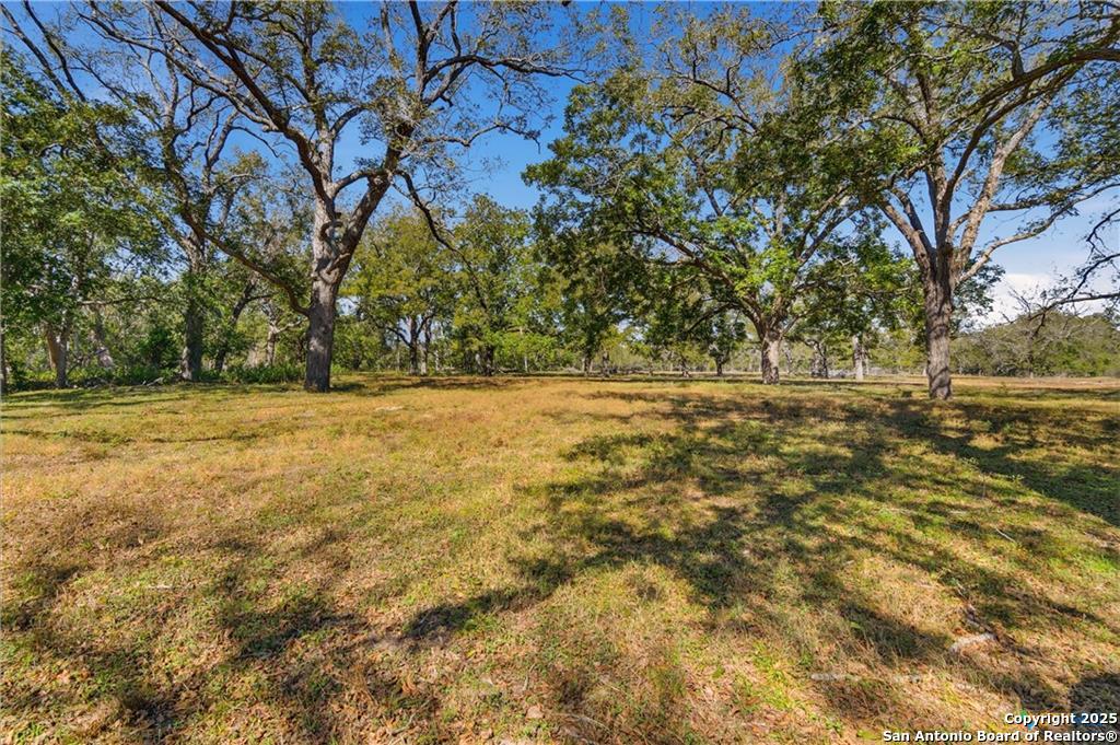 15145 Alternate 90 Kingsbury TX 78638