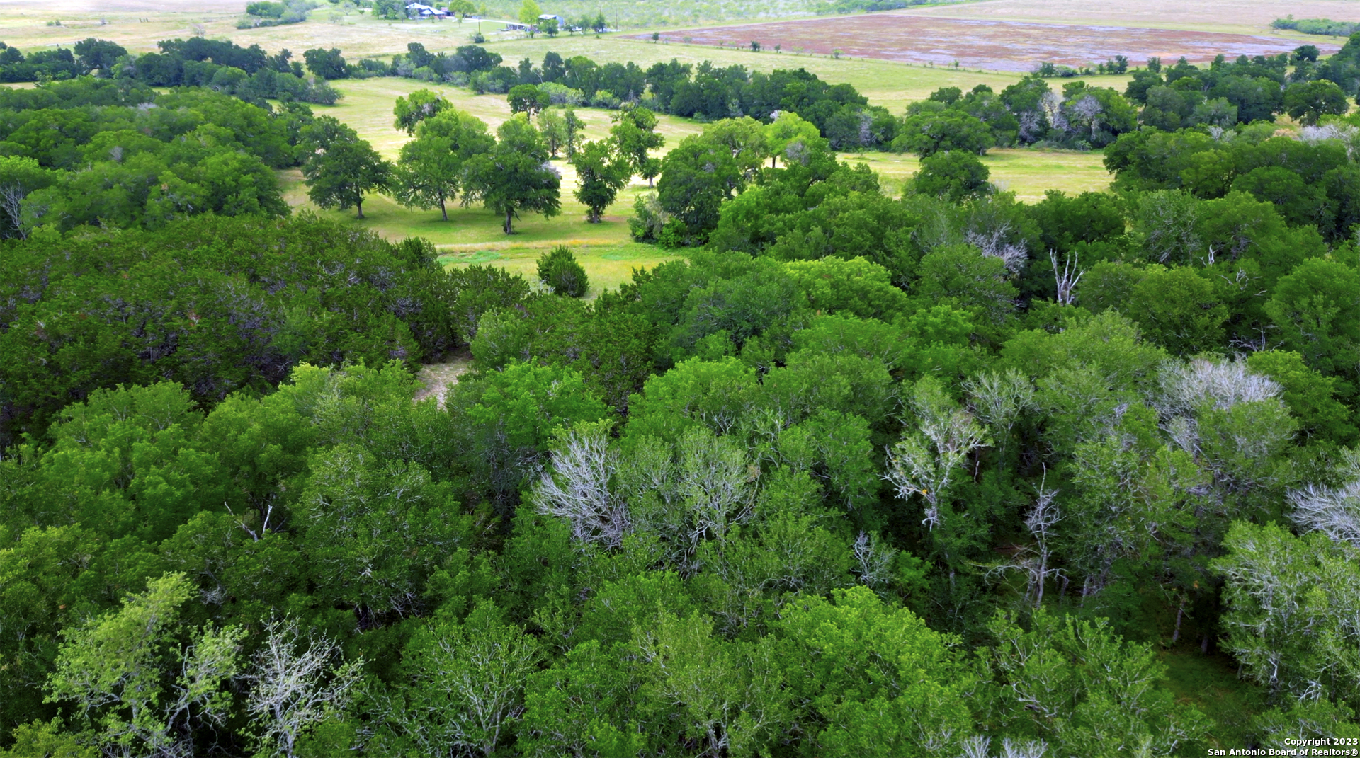 2550 York Creek Road New Braunfels TX 78130