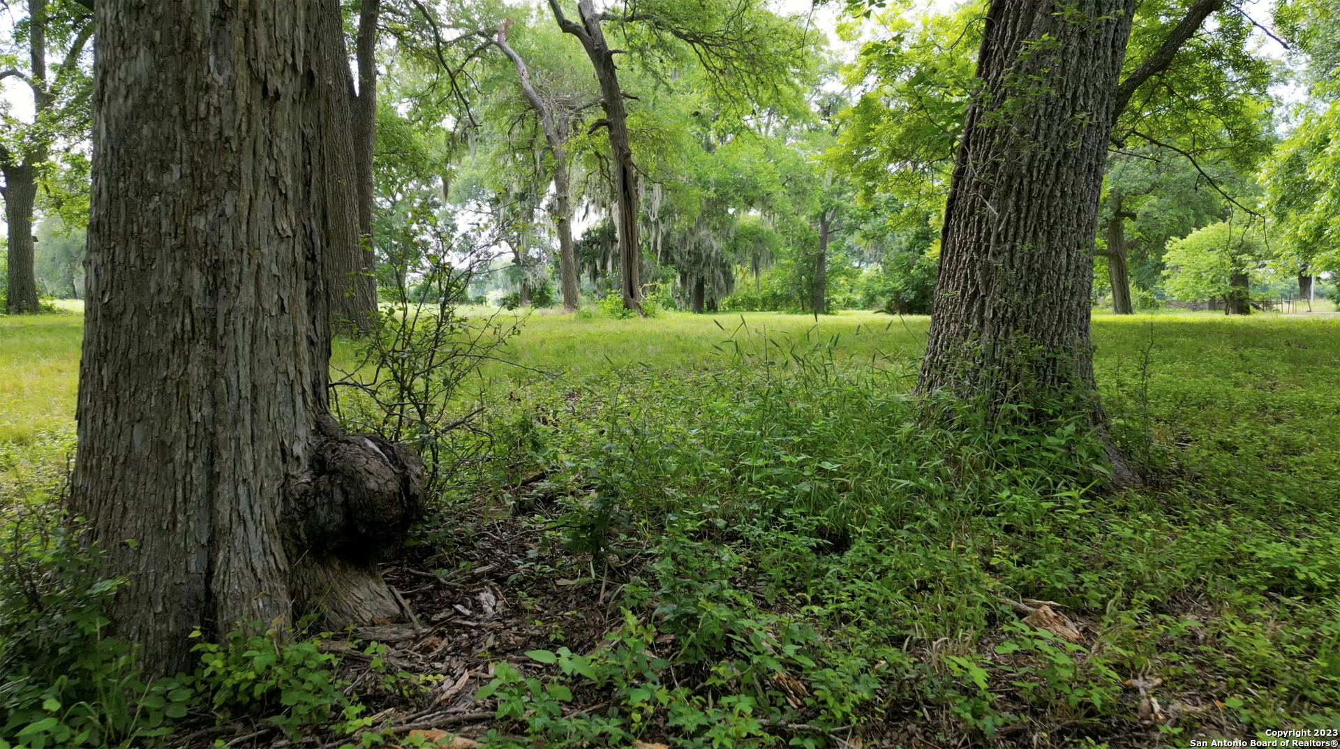 2550 York Creek Road New Braunfels TX 78130