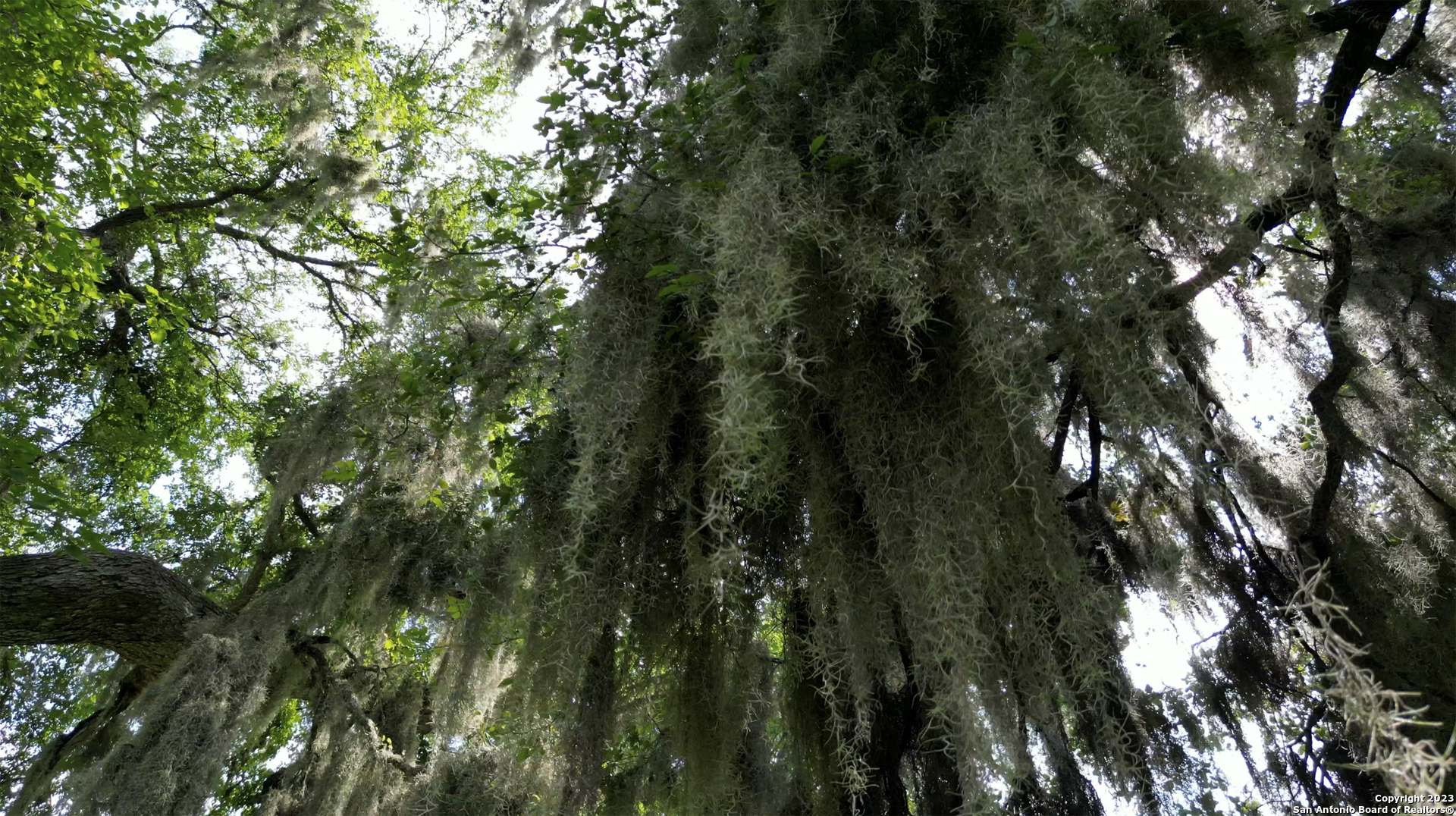 2550 York Creek Road New Braunfels TX 78130