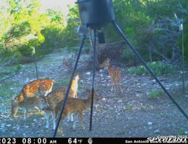 00 Newby Hills Ranch Rocksprings TX 78880