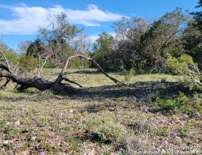 00 Newby Hills Ranch Rocksprings TX 78880