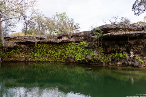 4198 Bear Springs Road Pipe Creek TX 78063