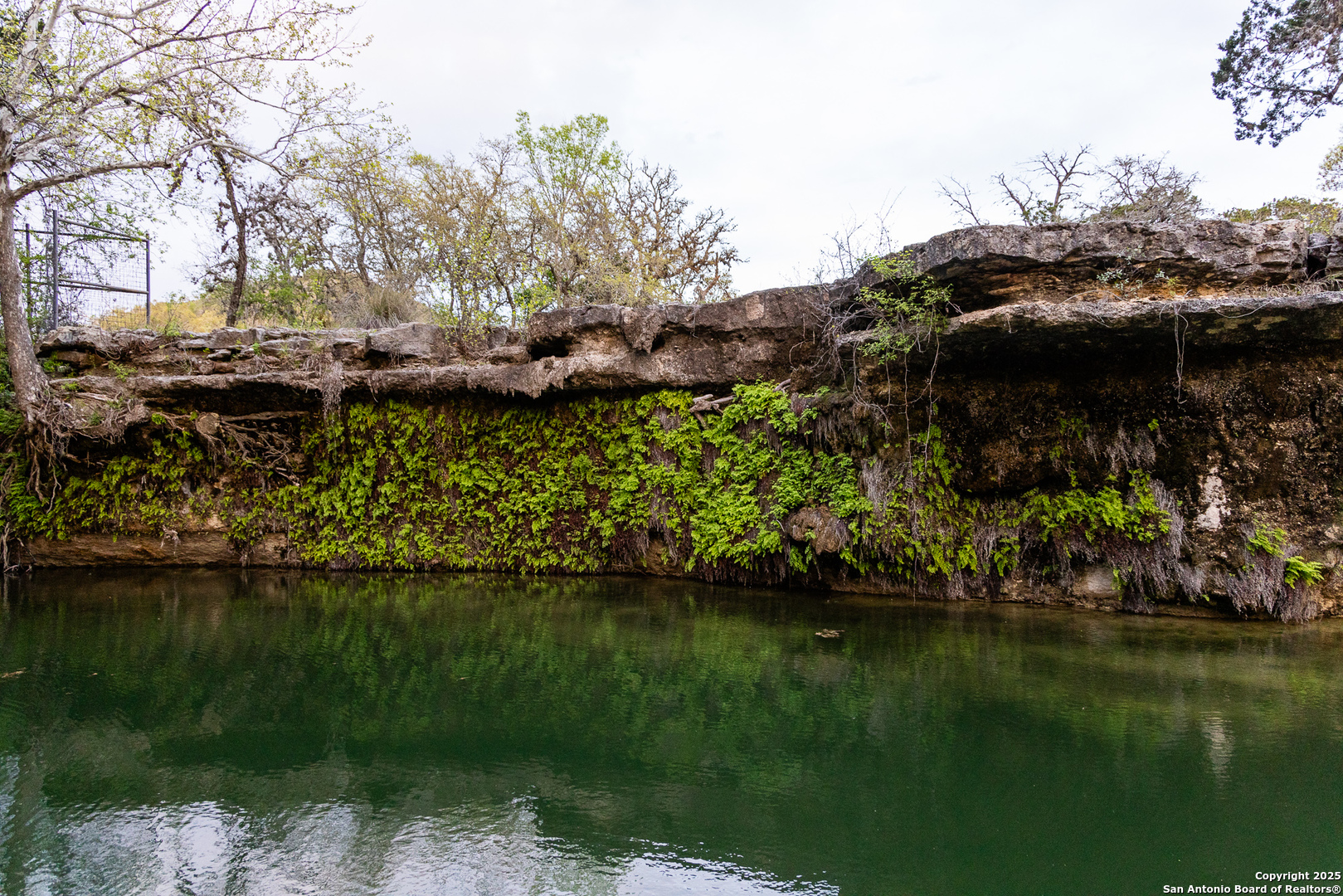 4198 Bear Springs Road Pipe Creek TX 78063