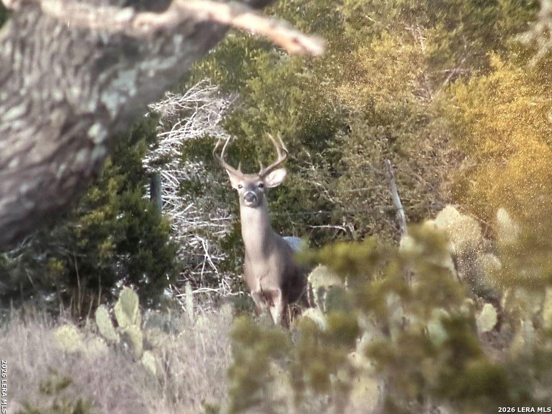Tbd Gallagher Ranch On Park Road 37 Helotes TX 78023