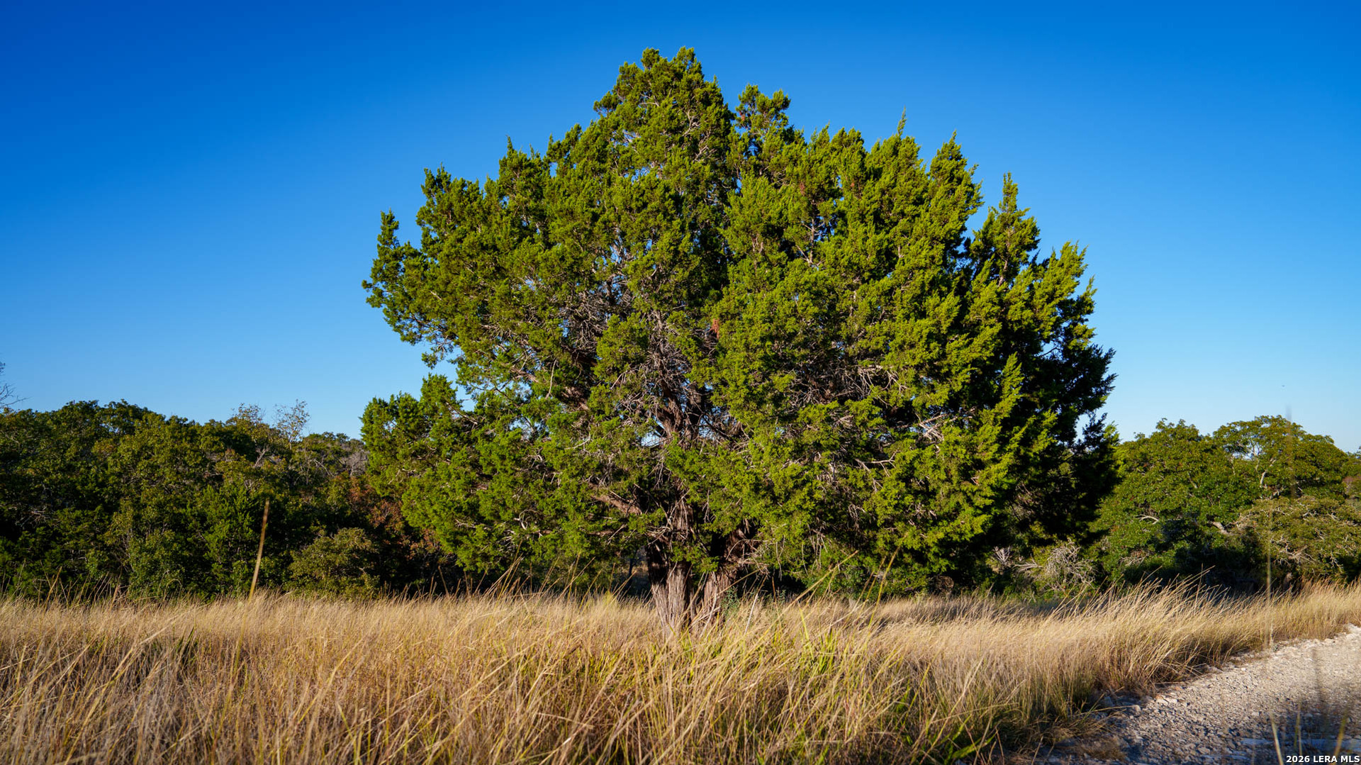 326 River Valley Road Ingram TX 78025