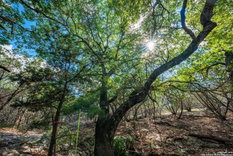 0 Fair Ranch Road Leakey TX 78873