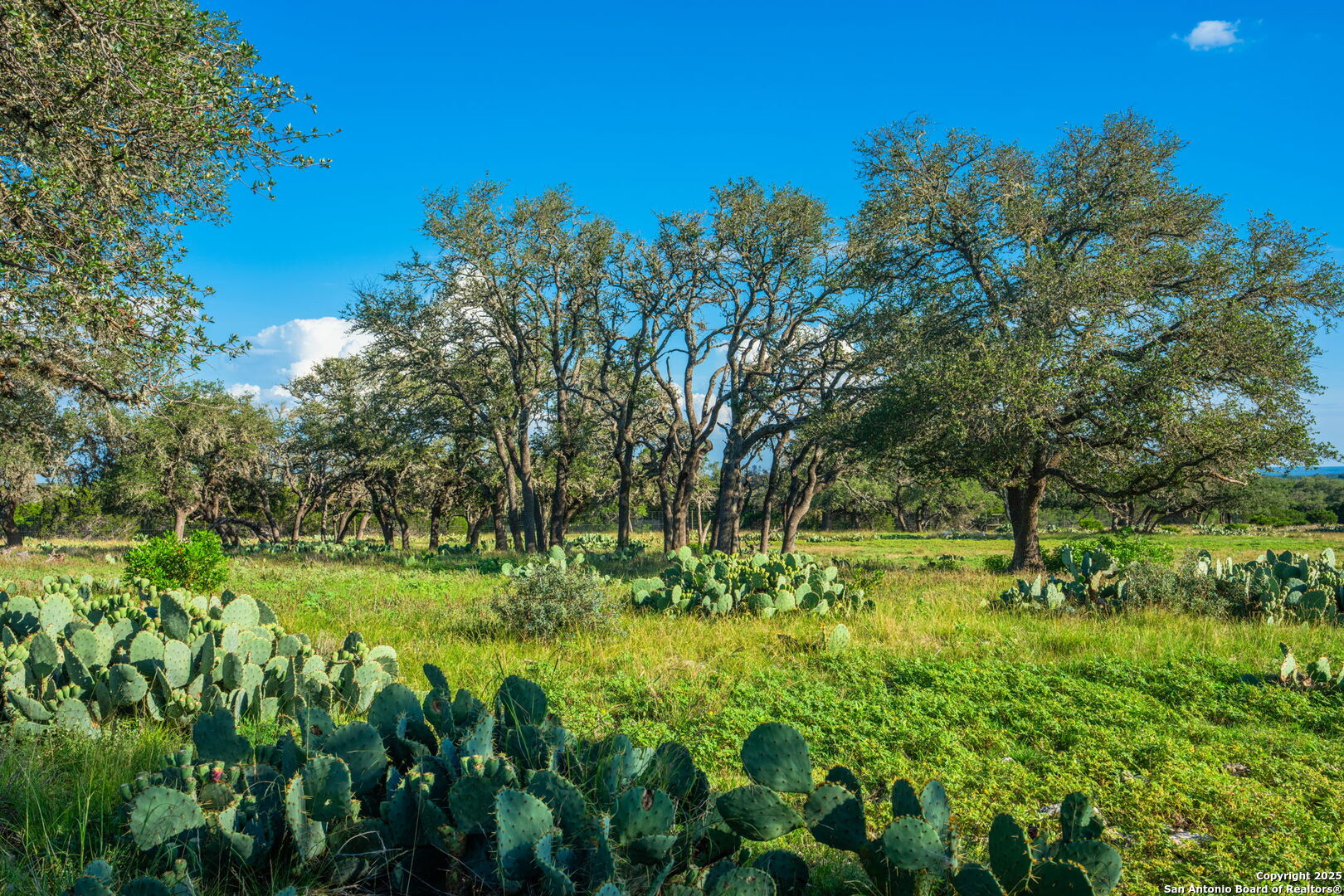 0 Fair Ranch Road Leakey TX 78873