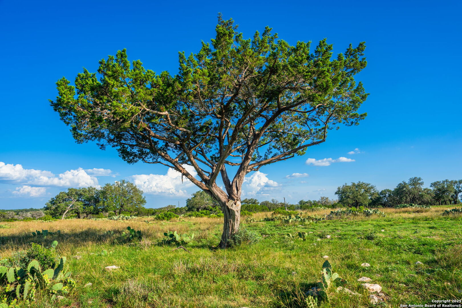 0 Fair Ranch Road Leakey TX 78873