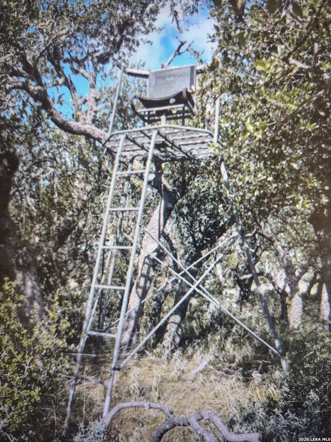 988 S D 71600 Rocksprings TX 78880