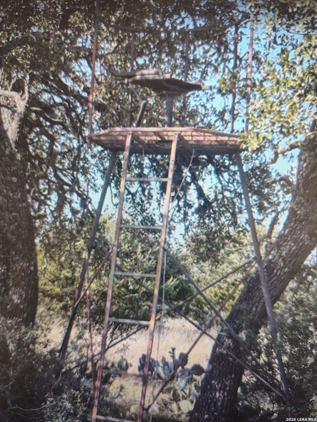 988 S D 71600 Rocksprings TX 78880