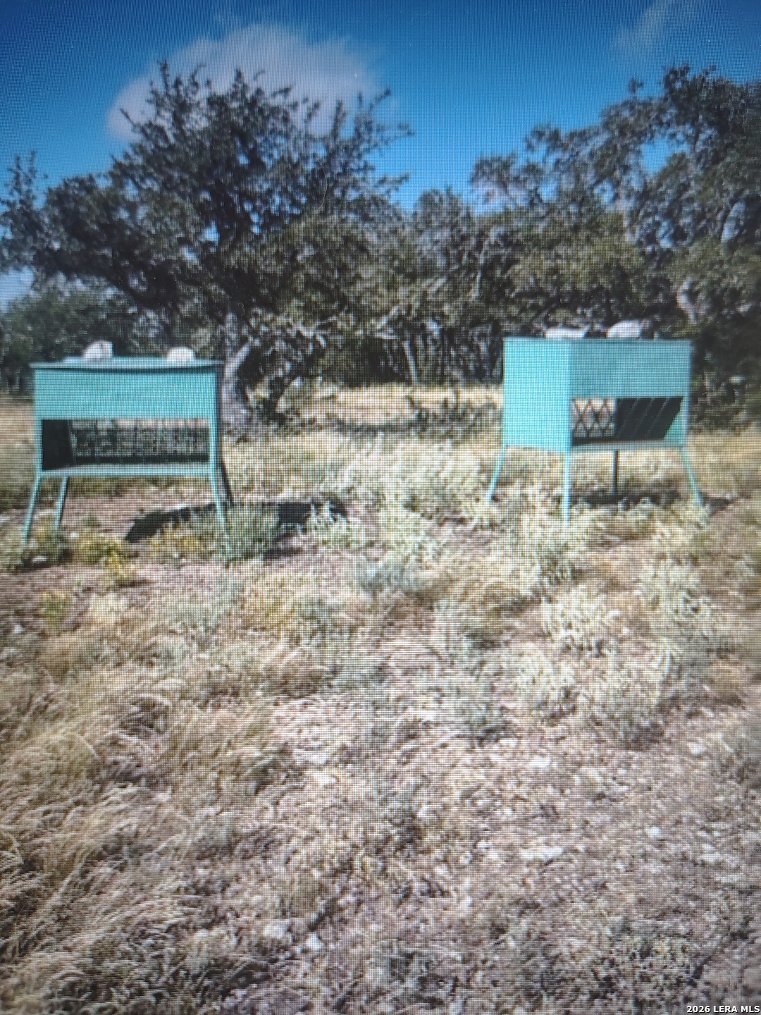 988 S D 71600 Rocksprings TX 78880
