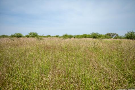 0 Green Dewitt Road Cuero TX 77954