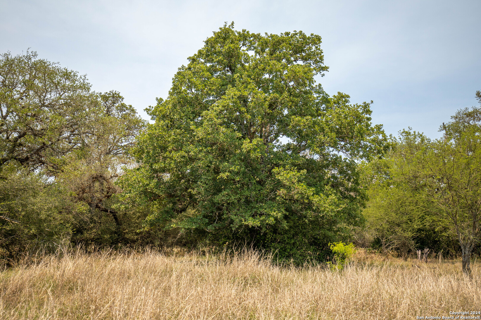 0 Green Dewitt Road Cuero TX 77954
