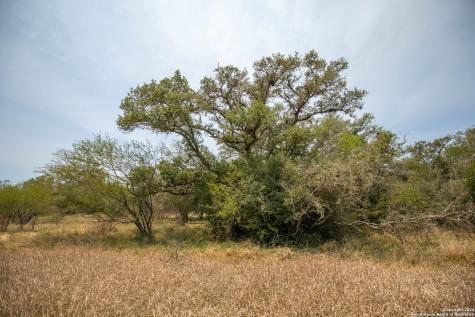 0 Green Dewitt Road Cuero TX 77954