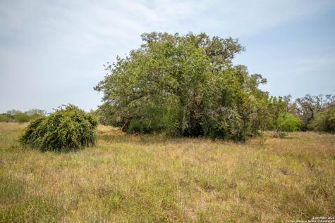 0 Green Dewitt Road Cuero TX 77954