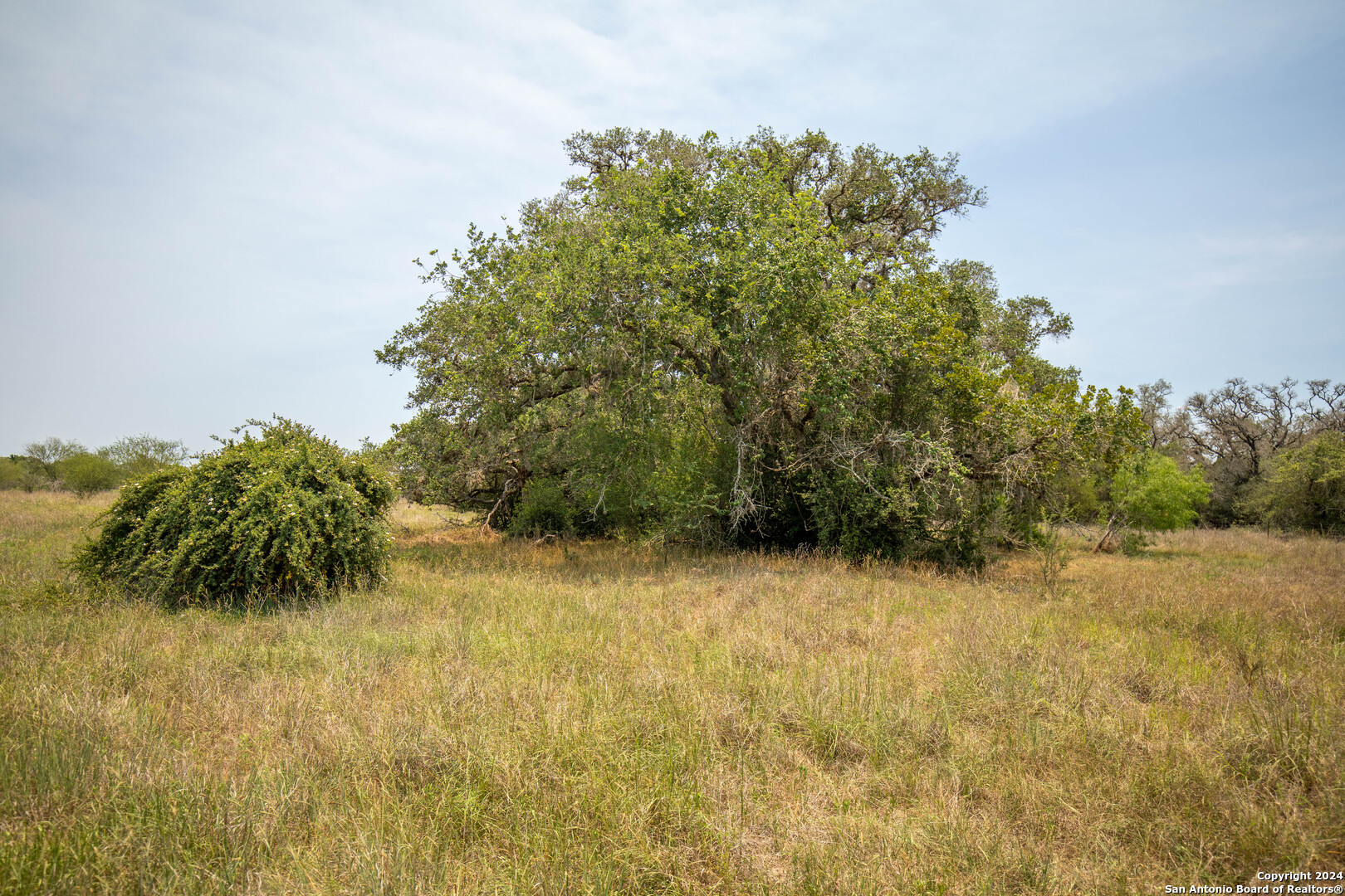 0 Green Dewitt Road Cuero TX 77954