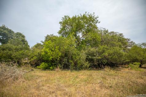 0 Green Dewitt Road Cuero TX 77954