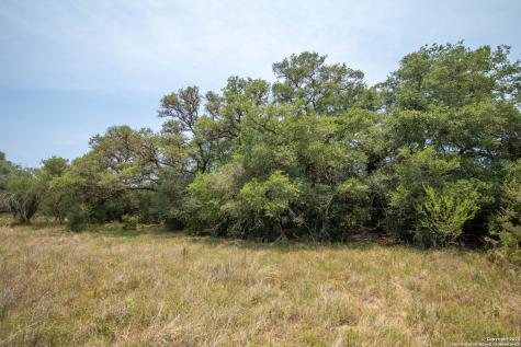 0 Green Dewitt Road Cuero TX 77954