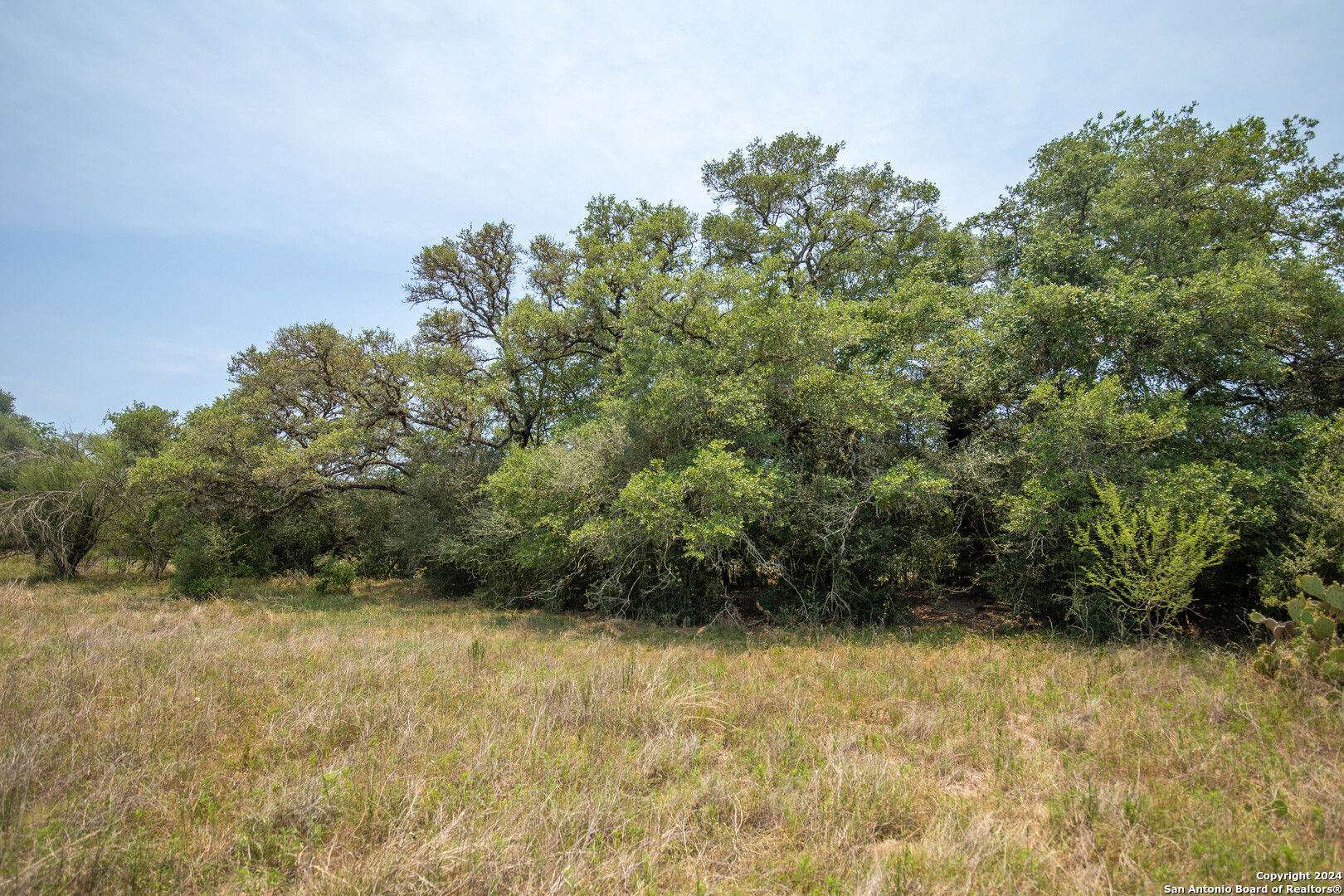 0 Green Dewitt Road Cuero TX 77954