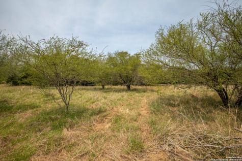 0 Green Dewitt Road Cuero TX 77954
