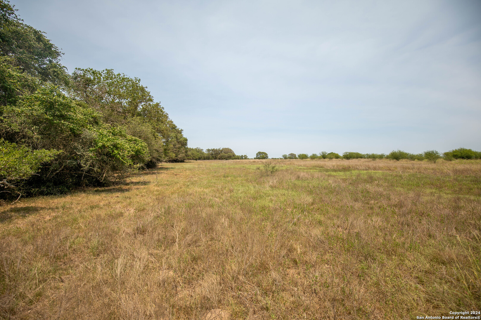0 Green Dewitt Road Cuero TX 77954