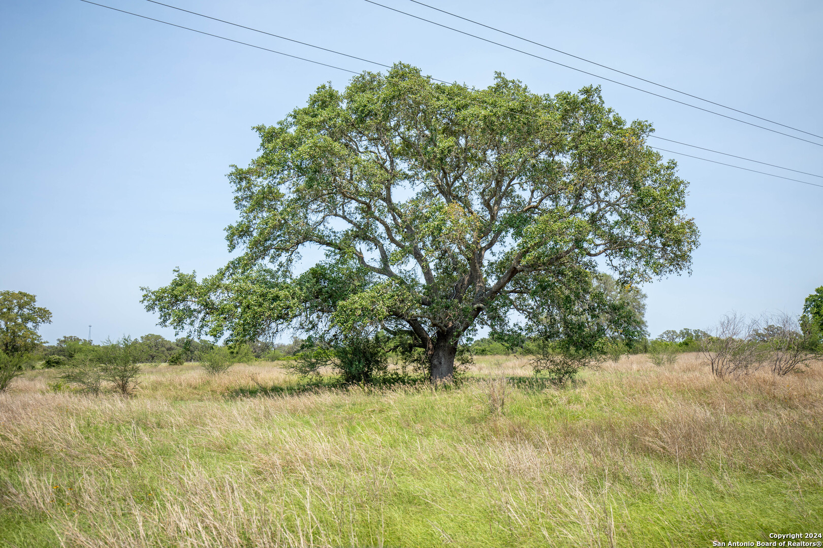 0 Green Dewitt Road Cuero TX 77954
