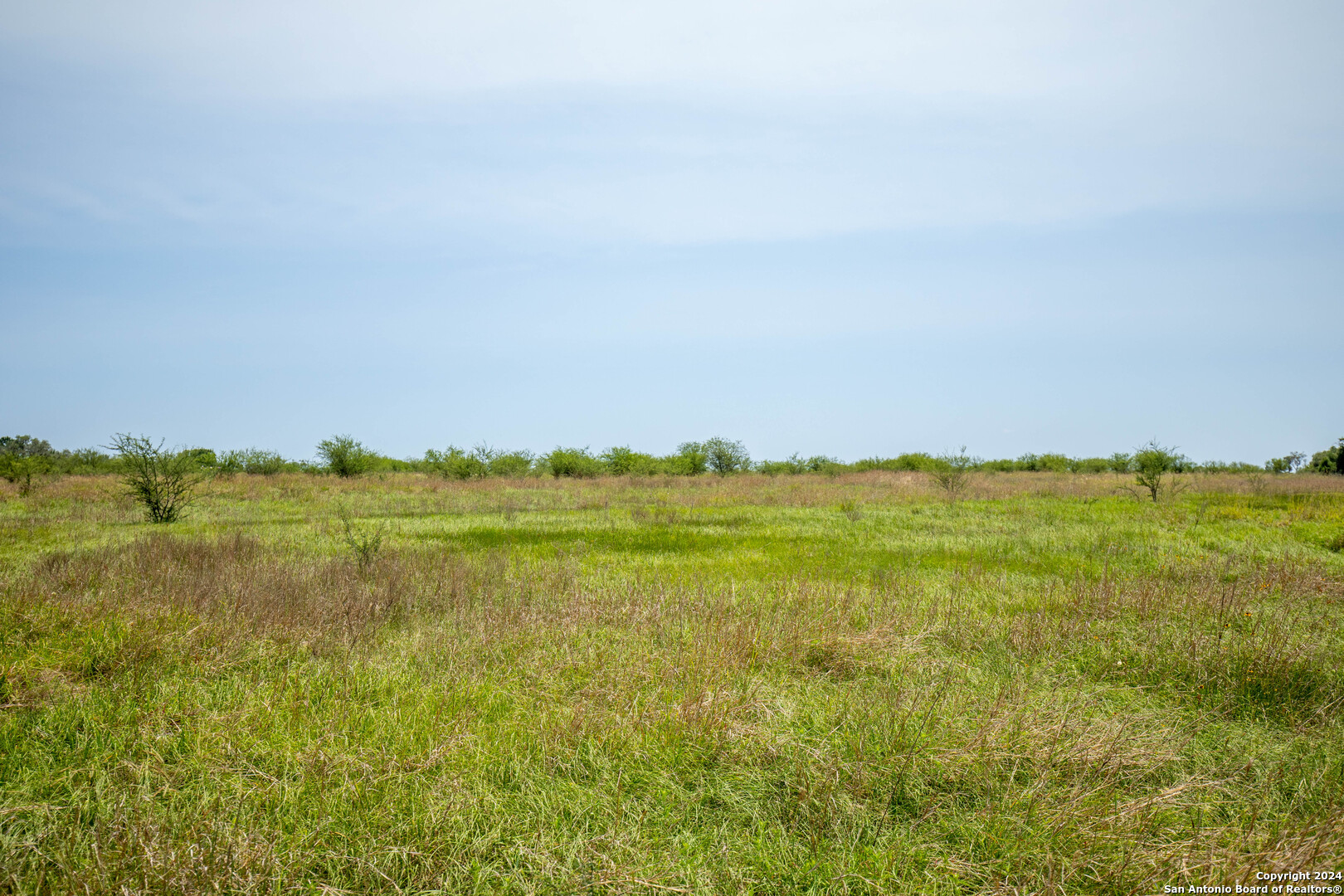 0 Green Dewitt Road Cuero TX 77954