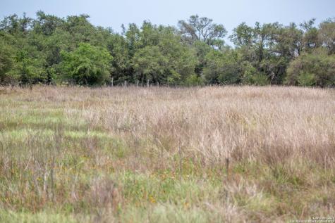 0 Green Dewitt Road Cuero TX 77954