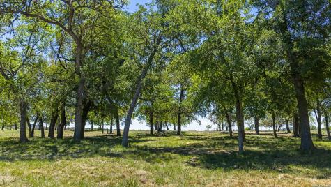 0009 Clearwater Comfort TX 78013