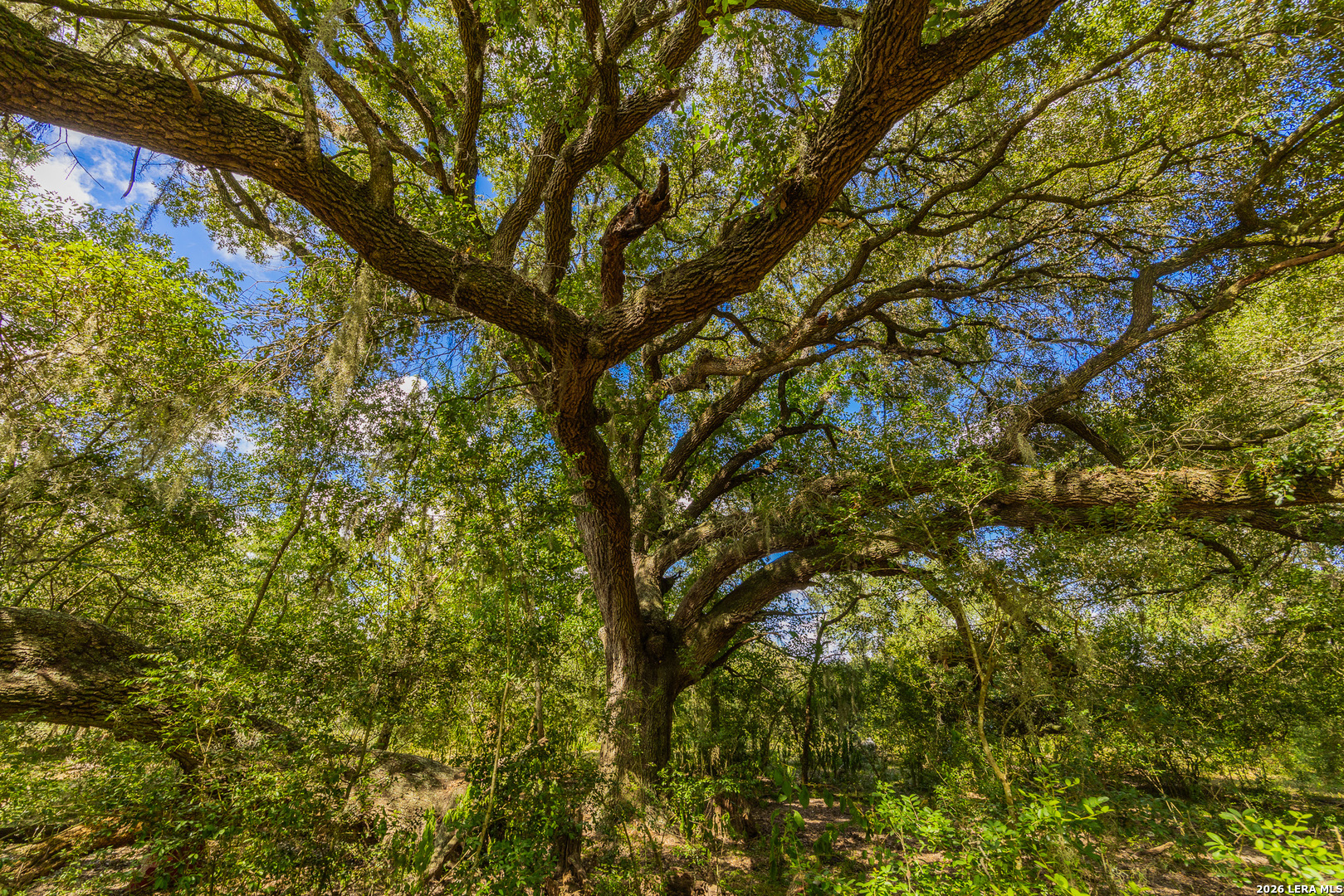 Tbd Fm 530 Hallettsville TX 77964