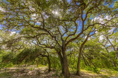 Tbd Fm 530 Hallettsville TX 77964