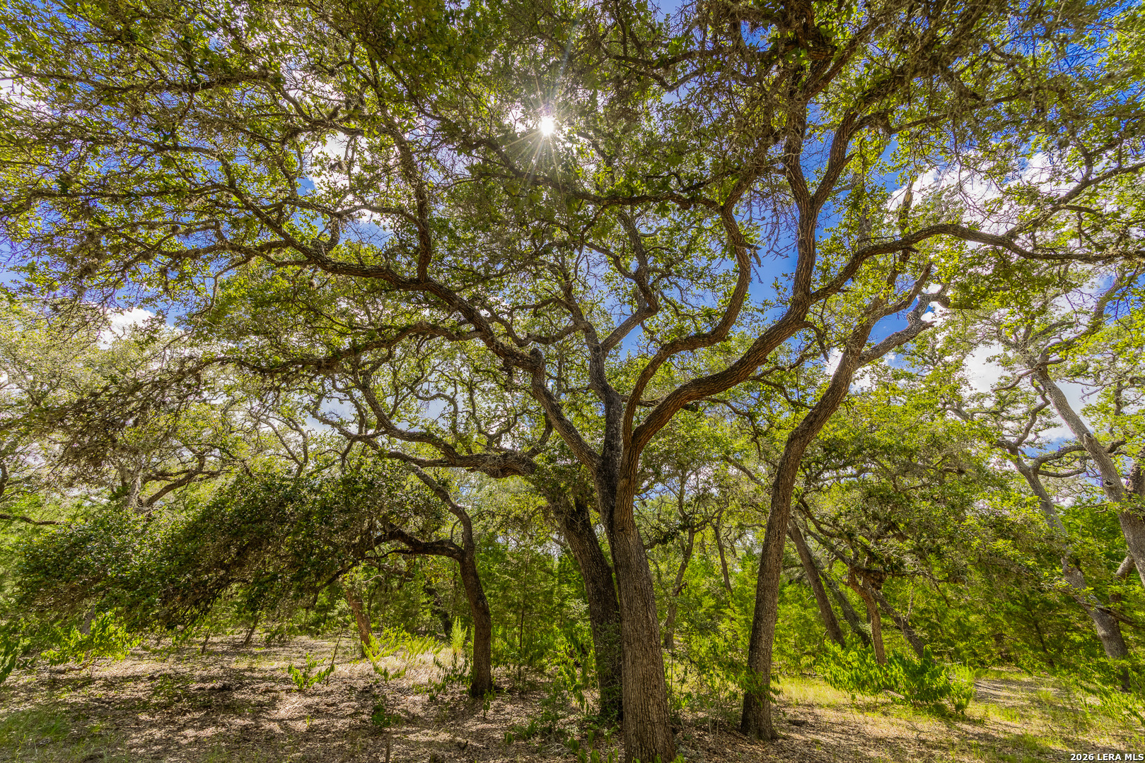 Tbd Fm 530 Hallettsville TX 77964