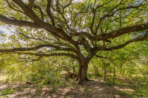Tbd Fm 530 Hallettsville TX 77964