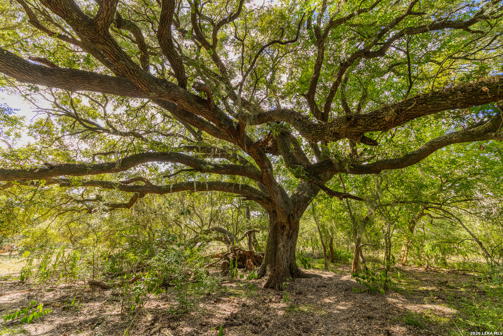 Tbd Fm 530 Hallettsville TX 77964