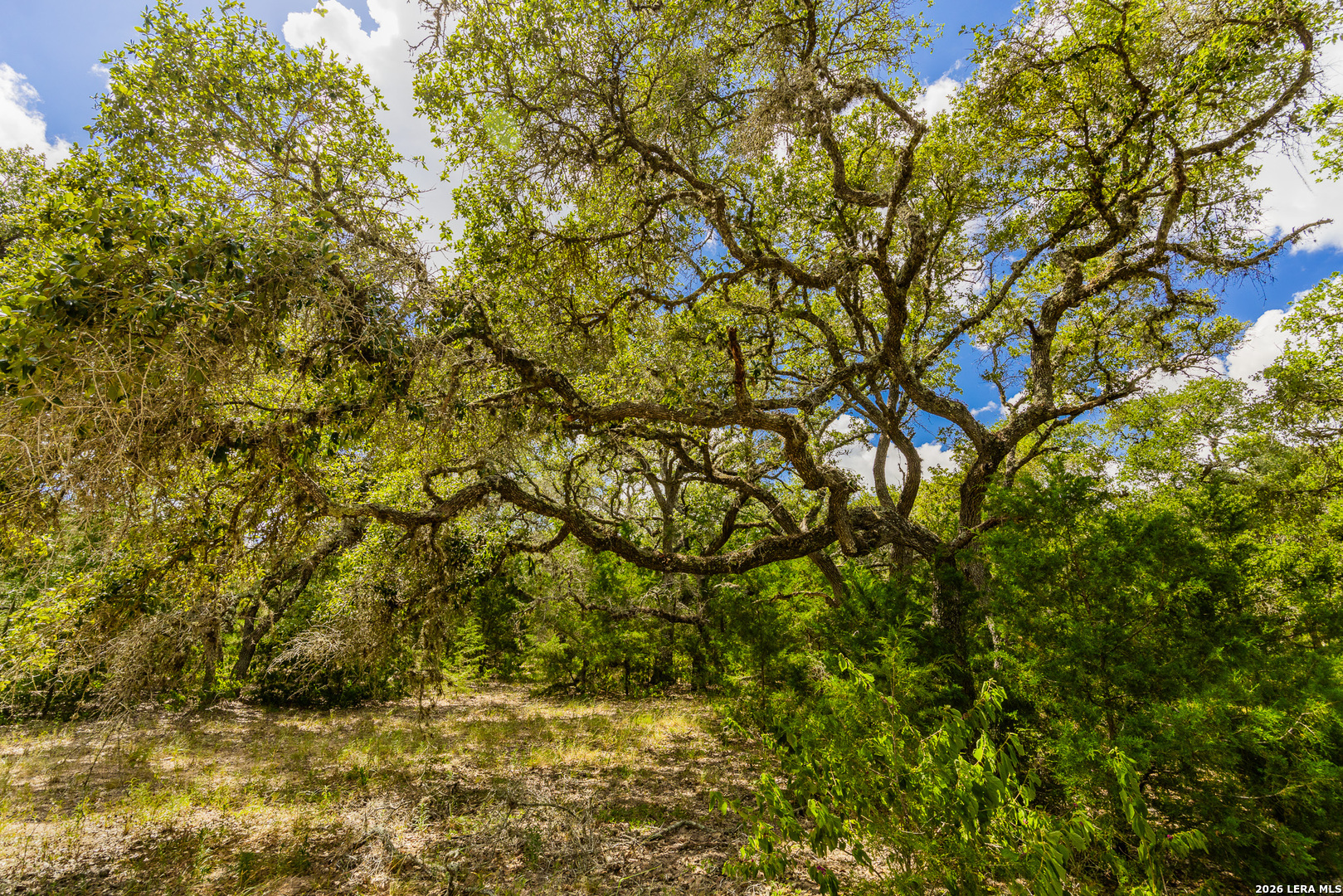 Tbd Fm 530 Hallettsville TX 77964