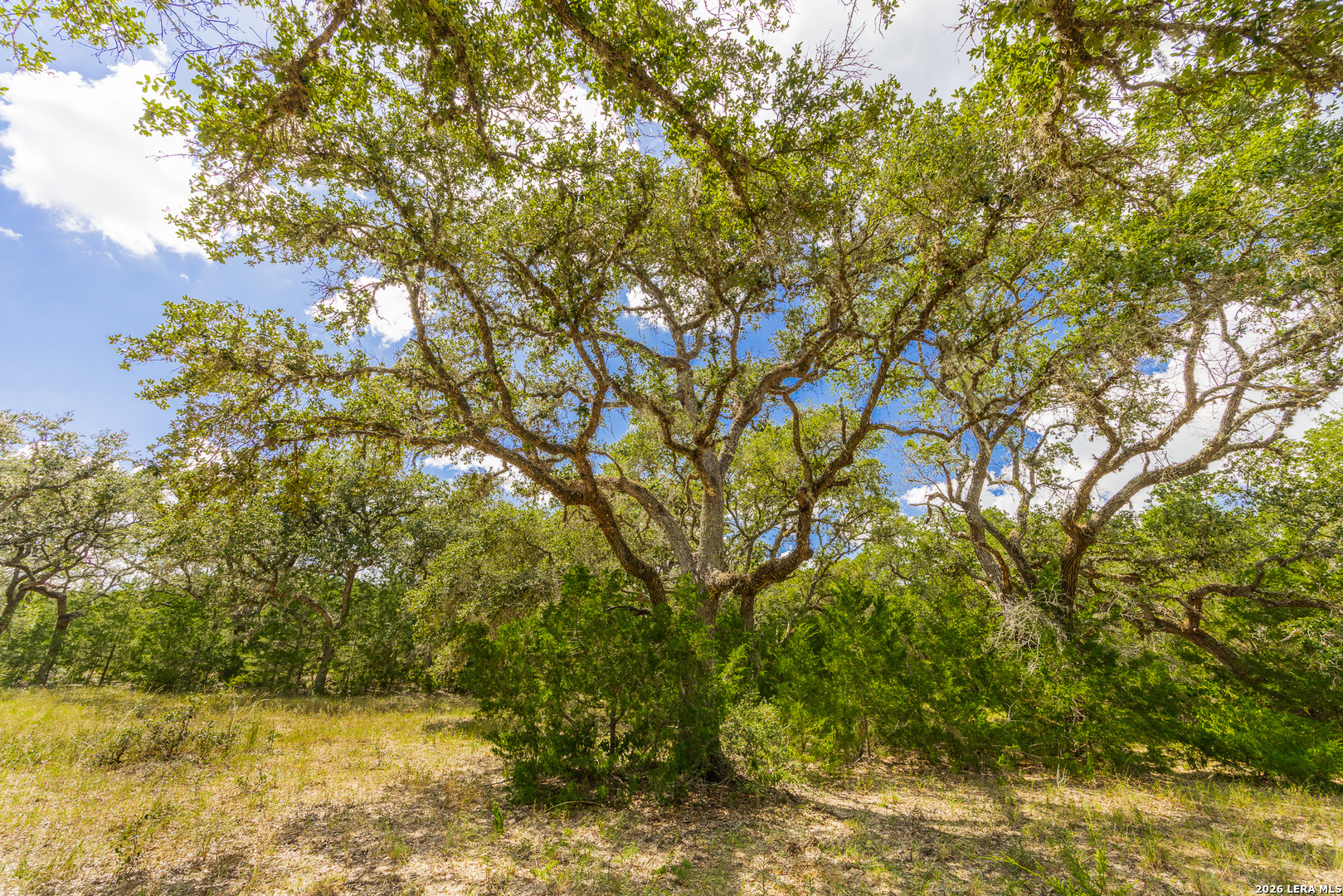 Tbd Fm 530 Hallettsville TX 77964