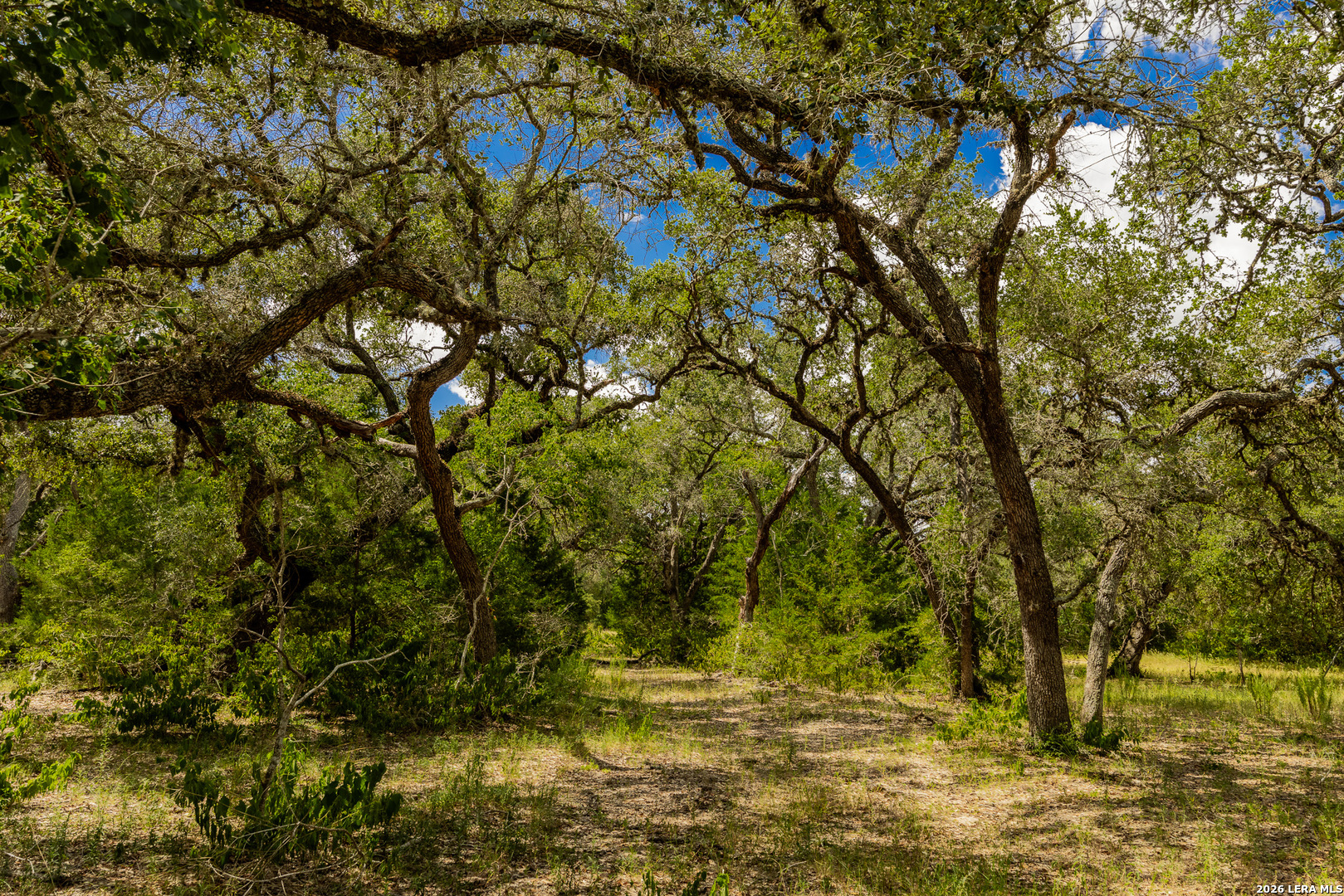 Tbd Fm 530 Hallettsville TX 77964