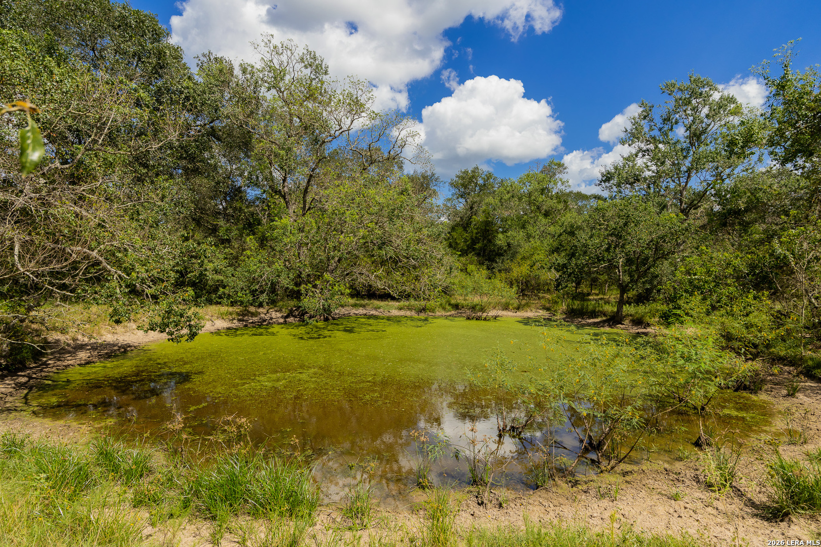 Tbd Fm 530 Hallettsville TX 77964