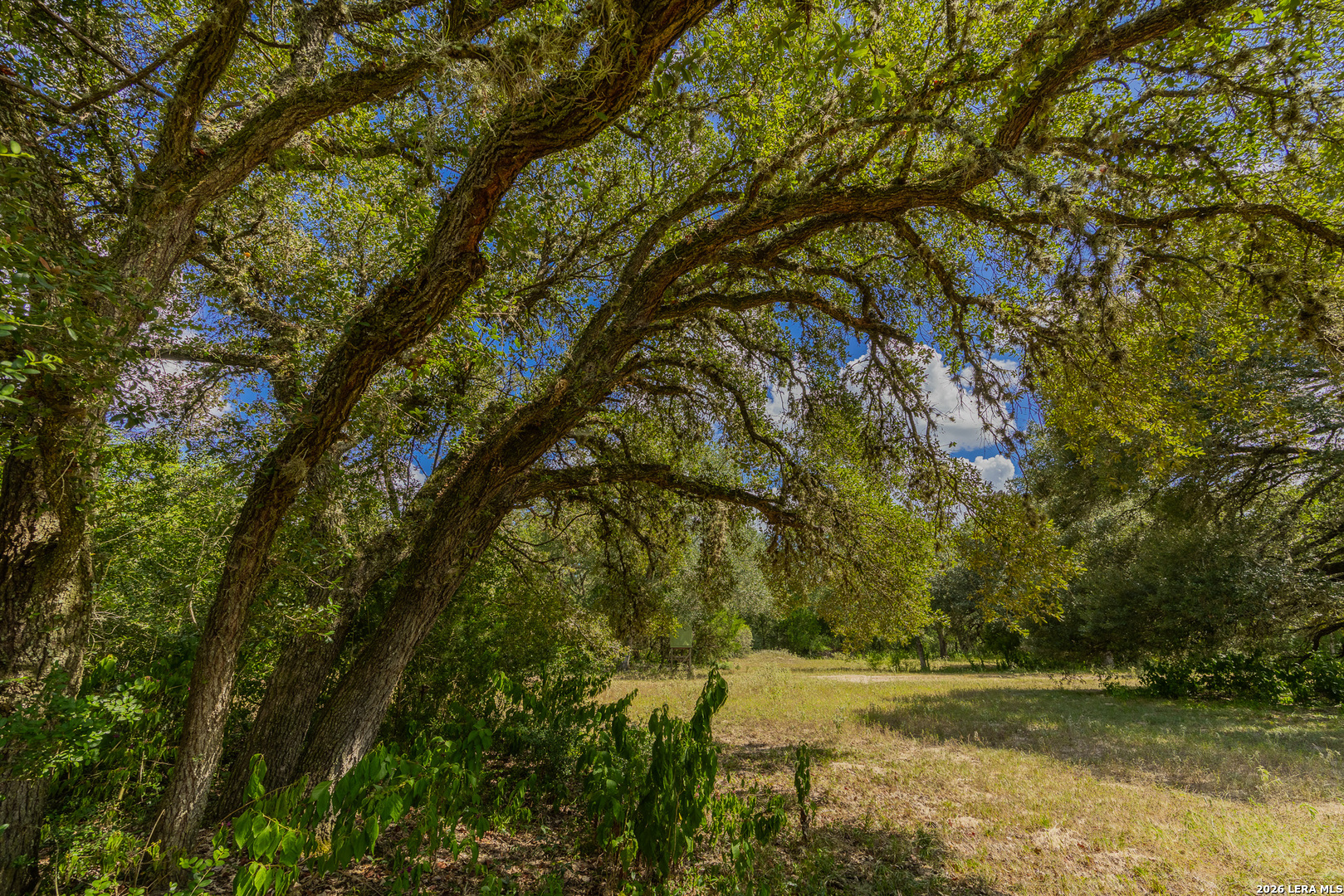 Tbd Fm 530 Hallettsville TX 77964
