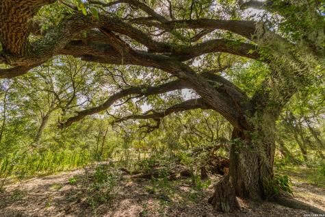 Tbd Fm 530 Hallettsville TX 77964
