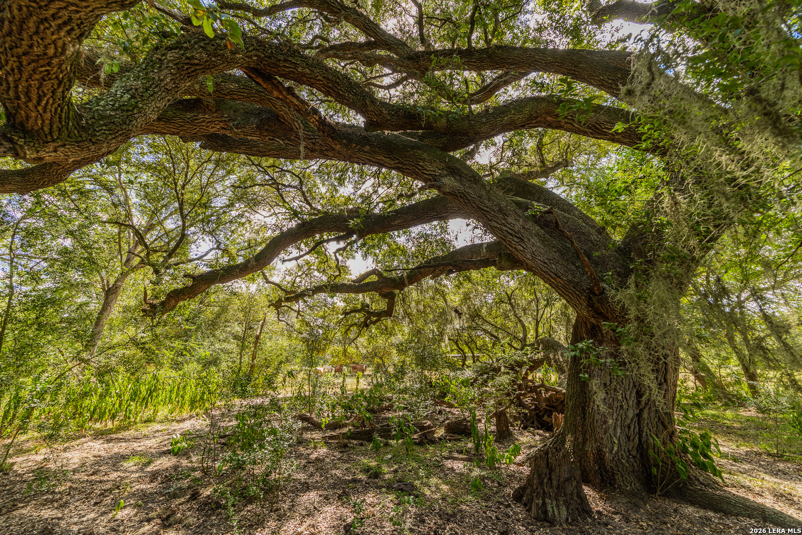 Tbd Fm 530 Hallettsville TX 77964
