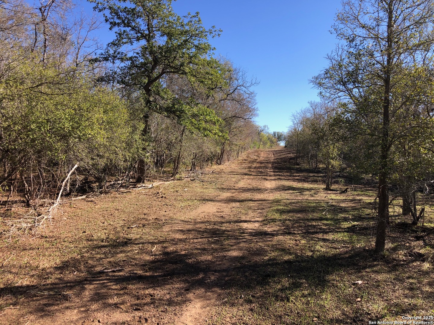 0 Single Oak Road Seguin TX 78155