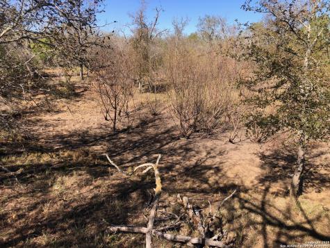 0 Single Oak Road Seguin TX 78155