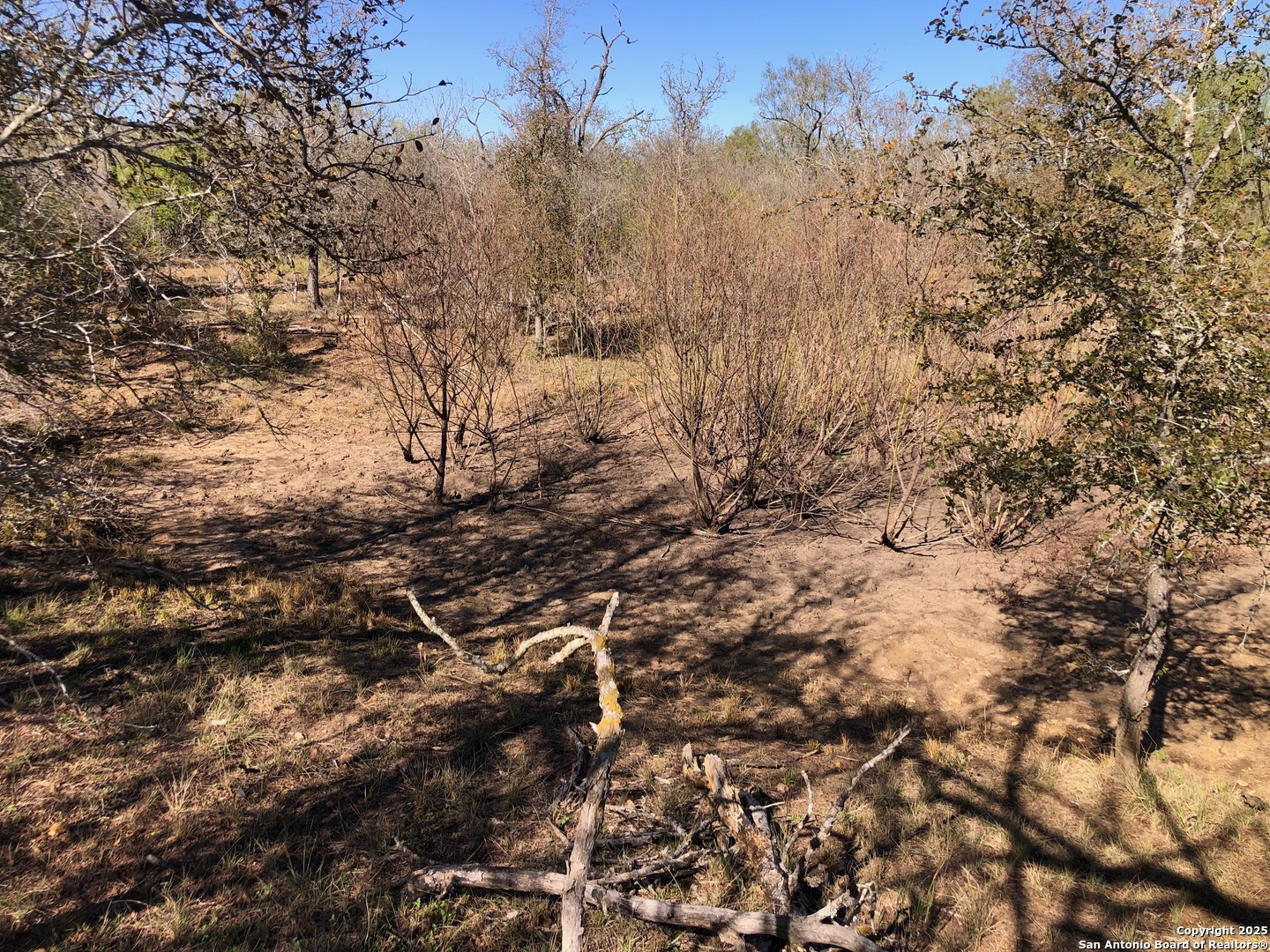 0 Single Oak Road Seguin TX 78155